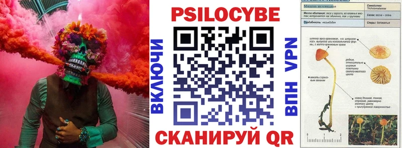 Псилоцибиновые грибы мицелий  Тырныауз 